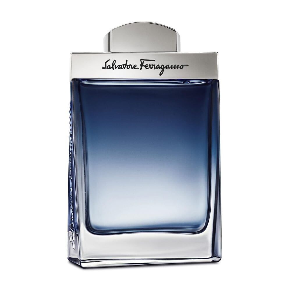 Genuine Ferragamo Subtil Pour Homme (M) EDT 100 ml IT B2B Supplier for Resale